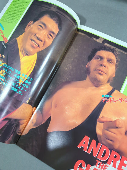 WWF, All Japan, New Japan Pro Wrestling  / Japan-US Wrestling Summit