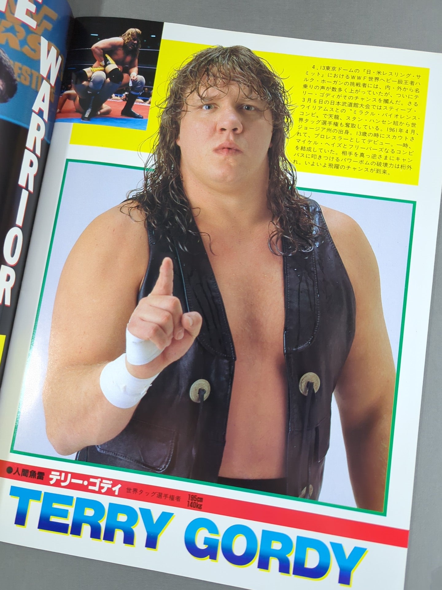 WWF, All Japan, New Japan Pro Wrestling  / Japan-US Wrestling Summit
