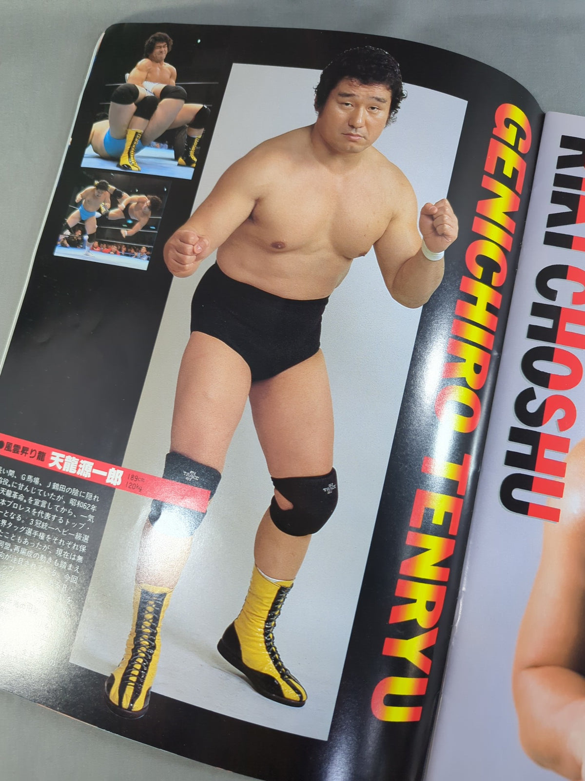 WWF・全日本・新日本 / 日米レスリングサミット