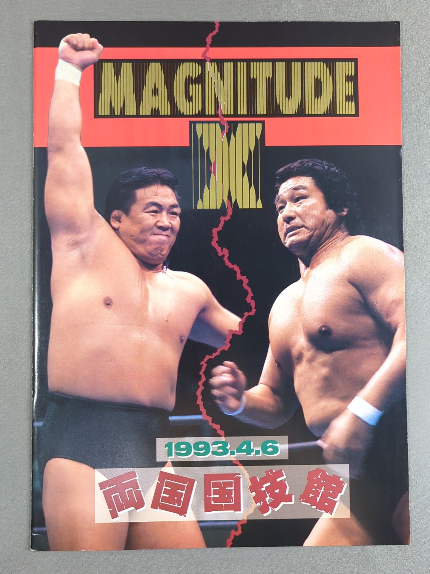 ★天龍vs長州★ MAGNITUDE X / マグニチュードX