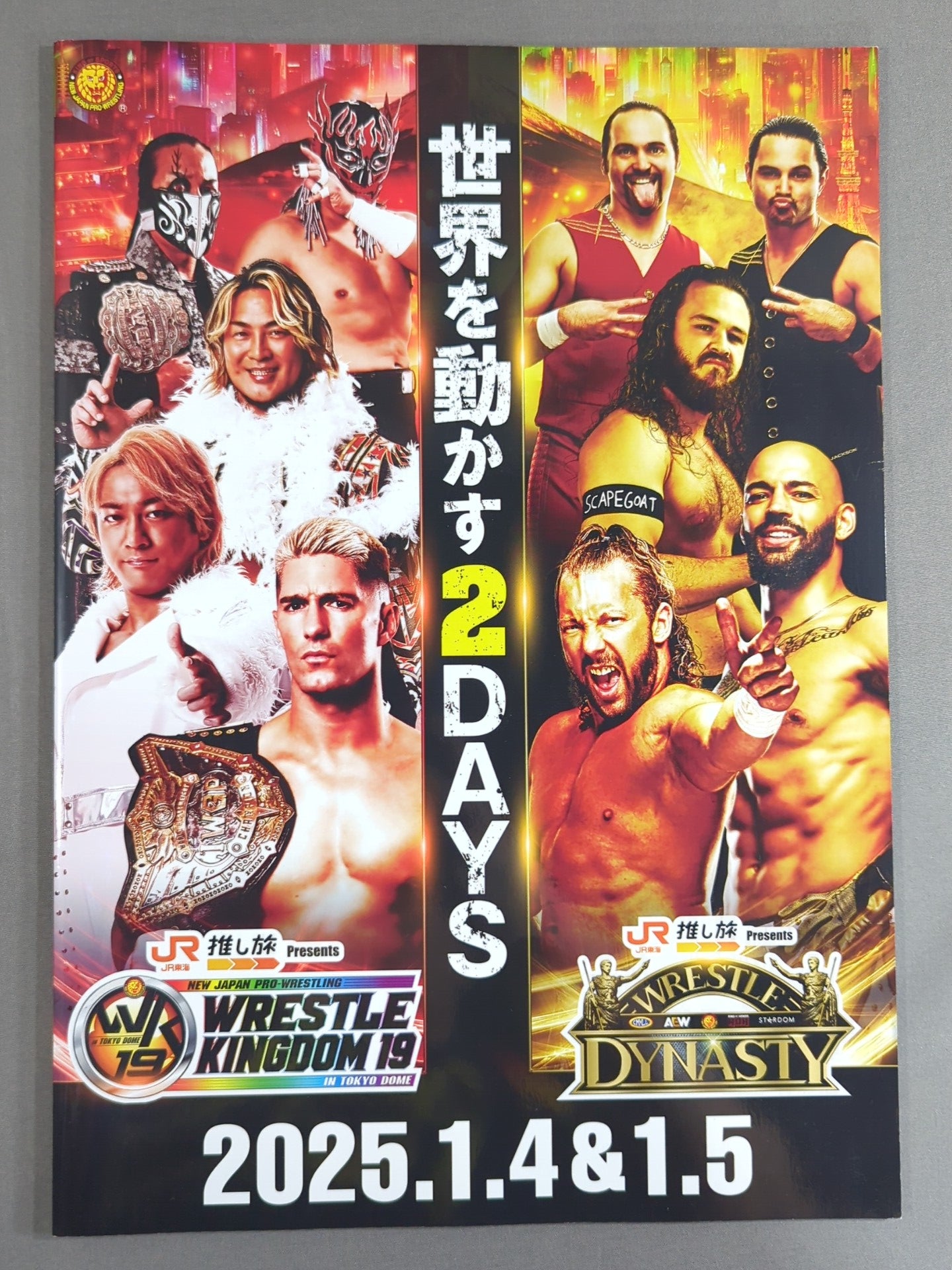 WRESTLE KINGDOM 19 & DYNASTY
