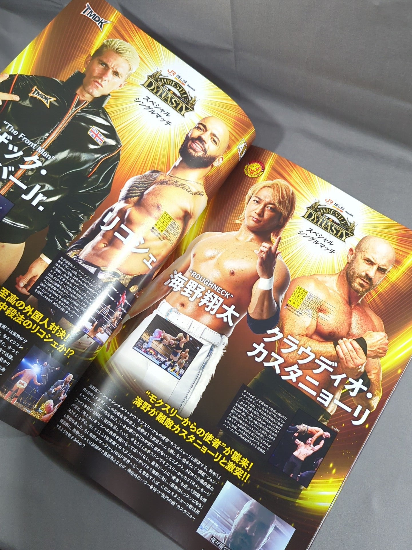WRESTLE KINGDOM 19 & DYNASTY