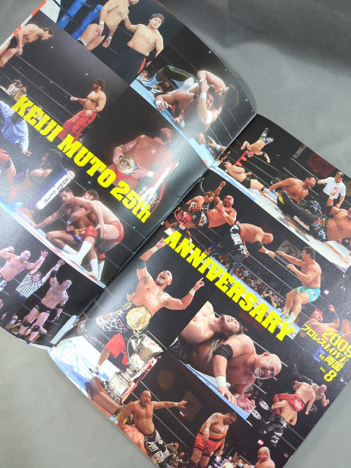 Pro Wrestling LOVE in Ryogoku Vol.8 ★ Muto Keiji 25th Anniversary Debut Event ★