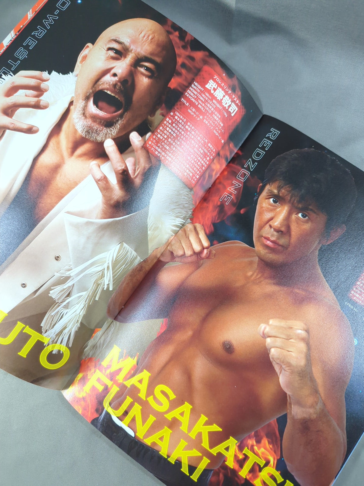 Pro Wrestling LOVE in Ryogoku Vol.8 ★ Muto Keiji 25th Anniversary Debut Event ★