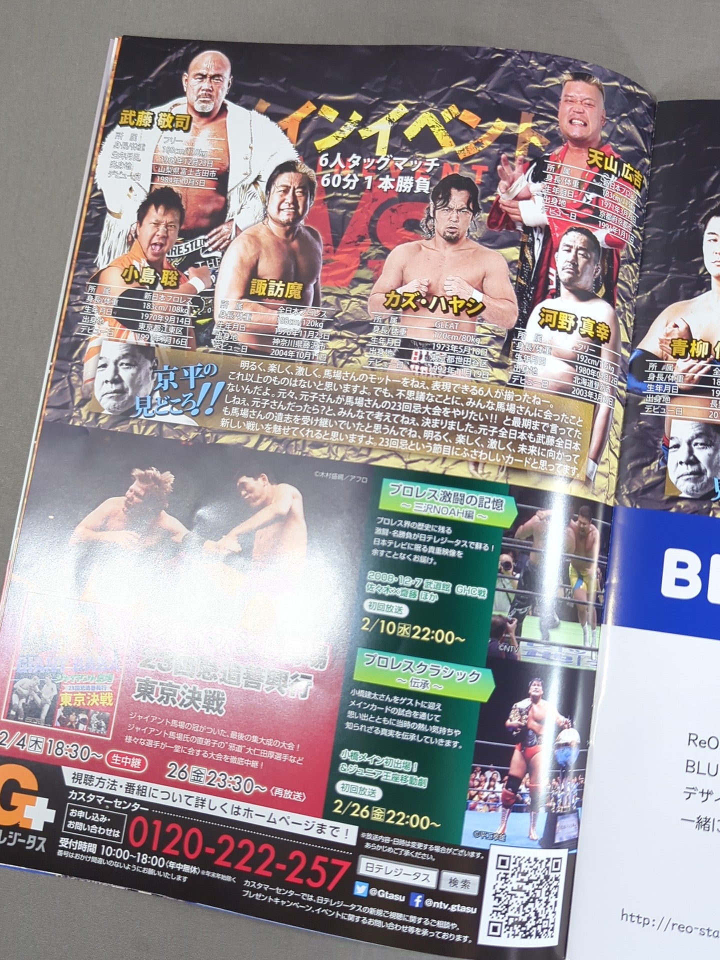 Giant Baba 23rd Memorial Charity Event