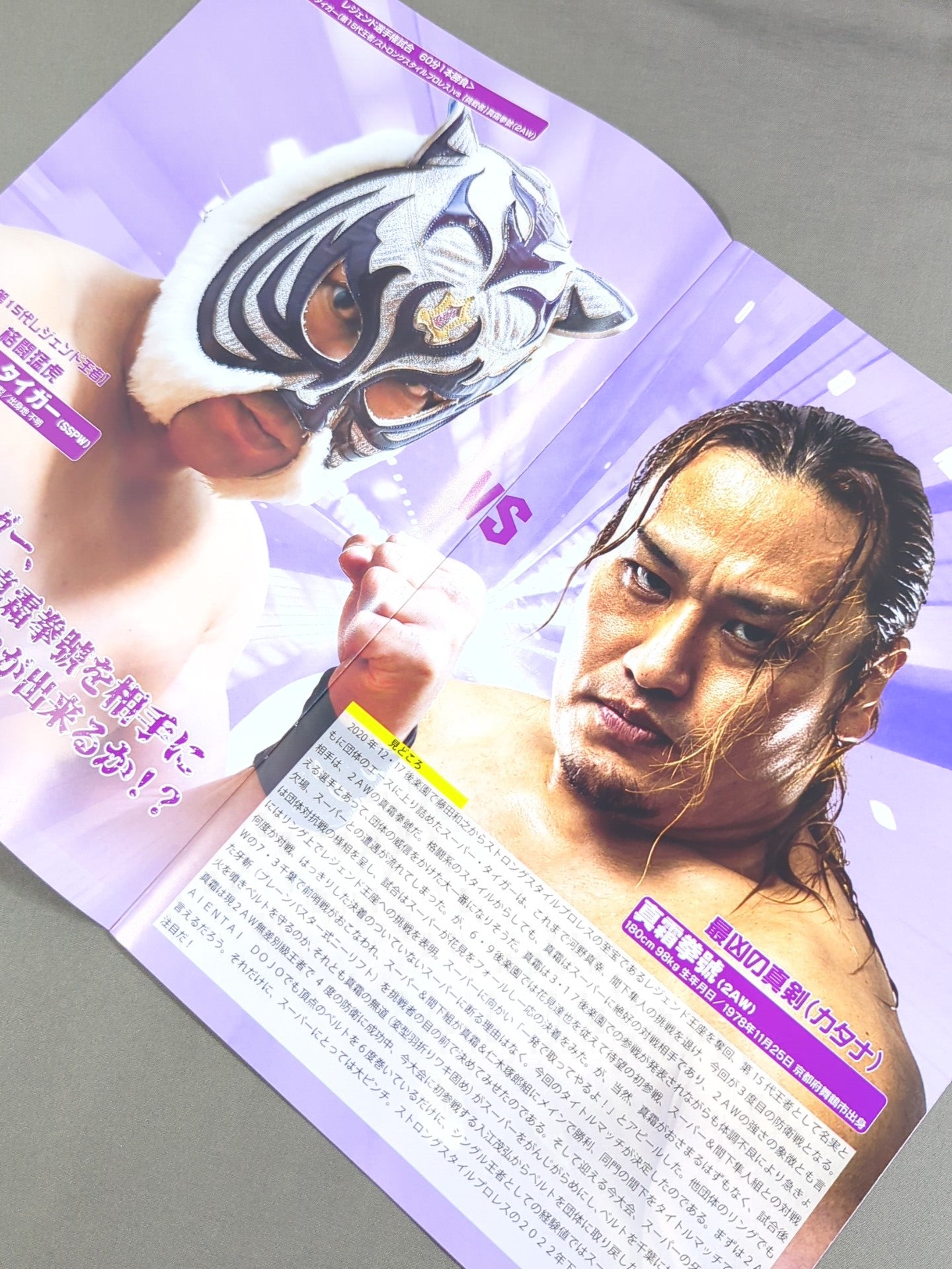 Strong Style Pro Wrestling Vol.18