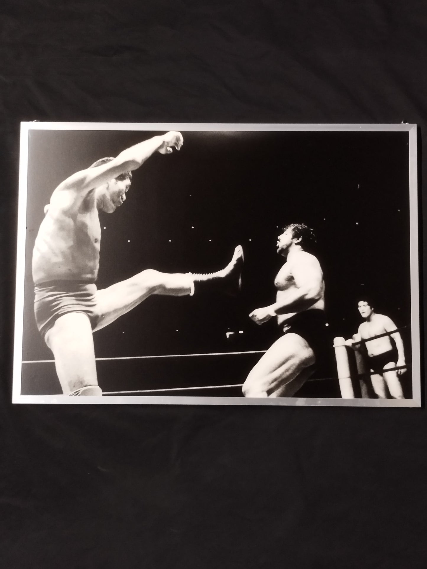 ★ Pro Wrestling Dream All-Star Game ★ Black and White photo panel