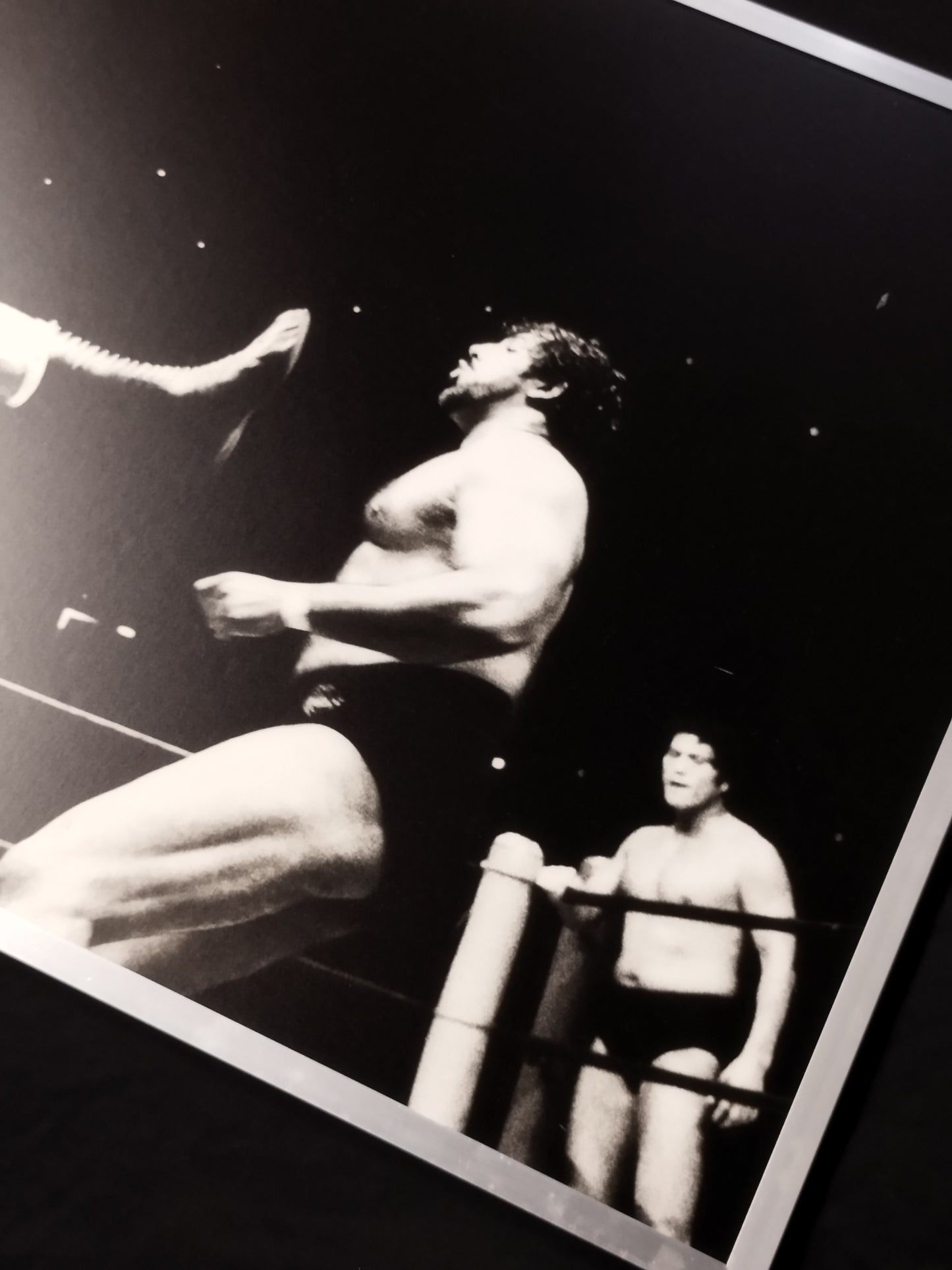 ★ Pro Wrestling Dream All-Star Game ★ Black and White photo panel