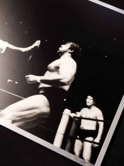 ★ Pro Wrestling Dream All-Star Game ★ Black and White photo panel