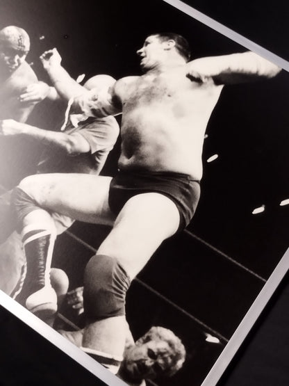 ★ World Open Tag Fighters Rights ★: Black and White photo panel