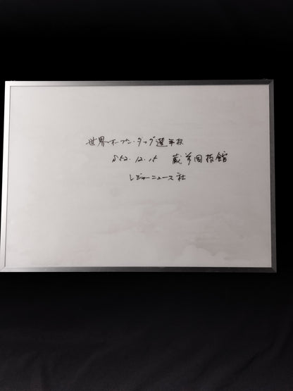 ★ World Open Tag Fighters Rights ★: Black and White photo panel