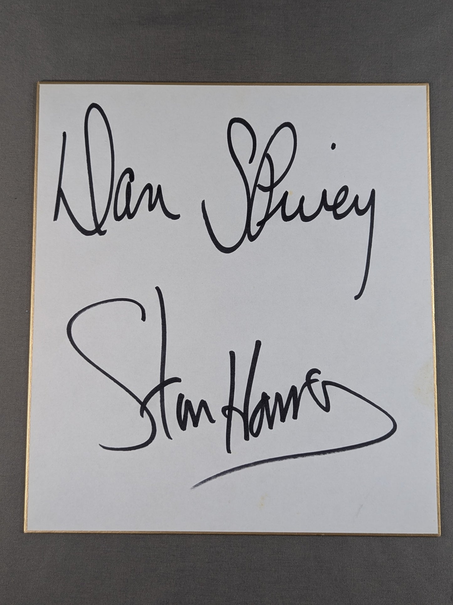 スタン・ハンセン＆ダニー・スパイビー
