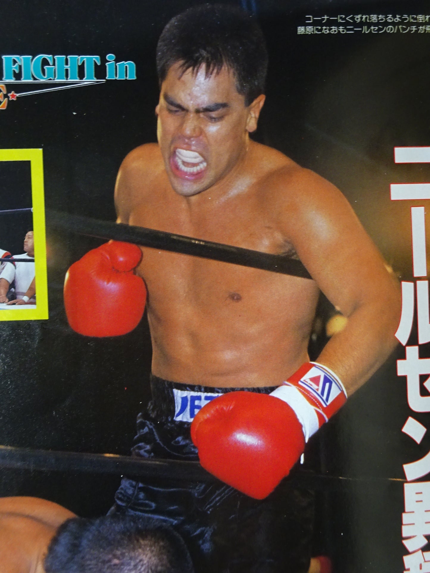 ドン・中矢・ニールセン ★藤原喜明実使用!!(1戦目)★