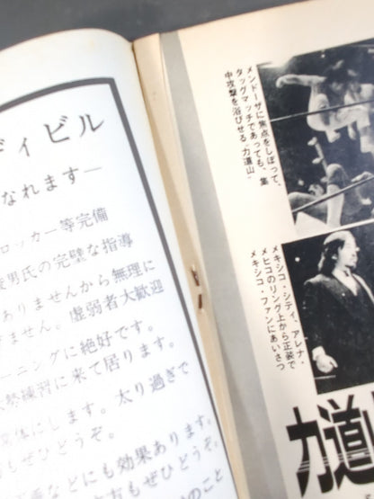 月刊プロレス 1974年5月号