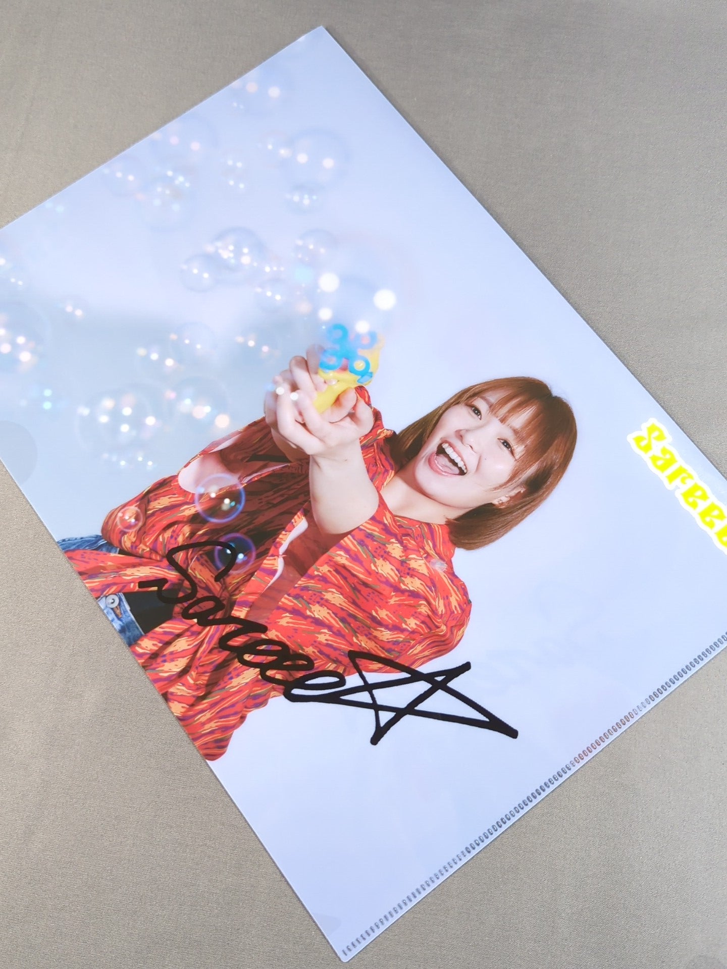 Sareee (SARRAY)  plastic file folder 
