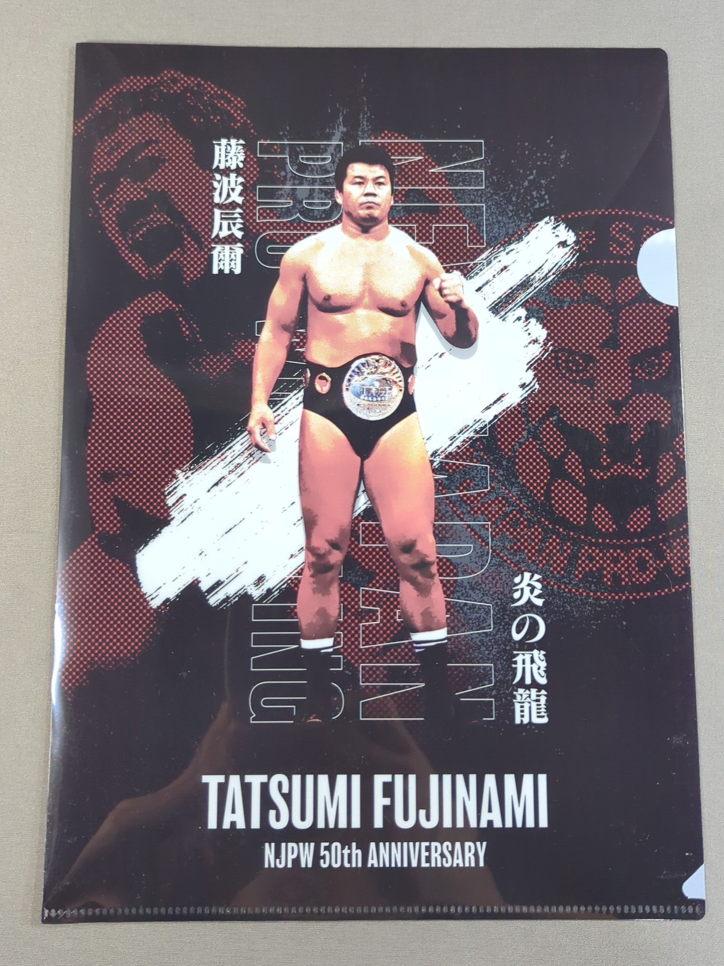 藤波辰爾 新日本プロレス50周年 クリアファイル＆ステッカーセット
