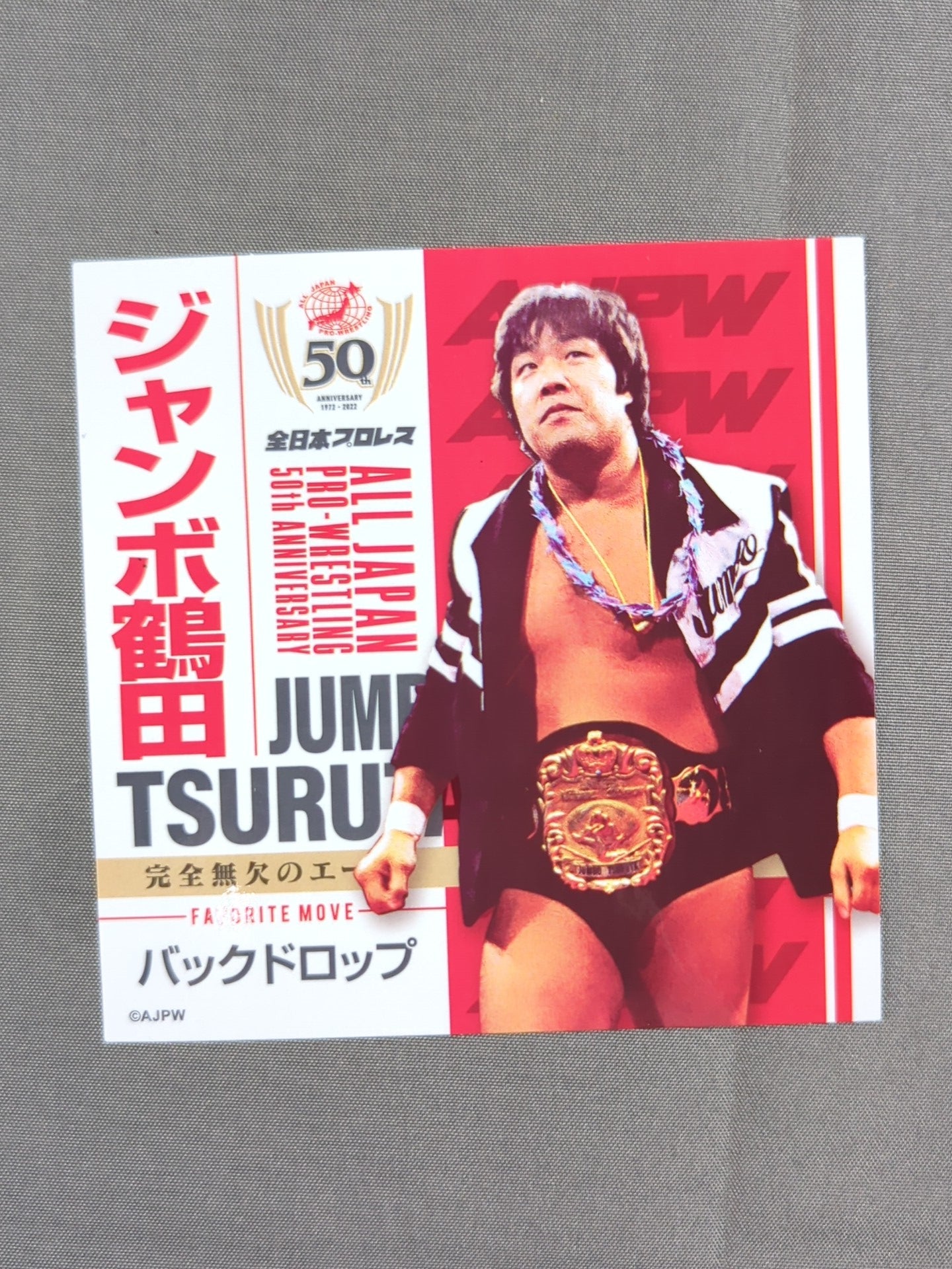 ジャンボ鶴田 全日本プロレス50周年 クリアファイル＆ステッカーセット
