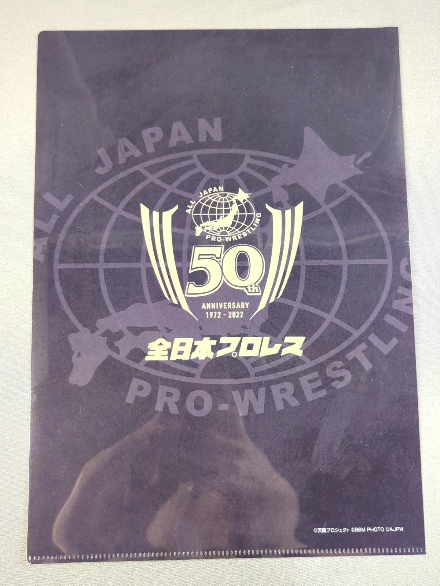 天龍源一郎 全日本プロレス50周年 クリアファイル＆ステッカーセット