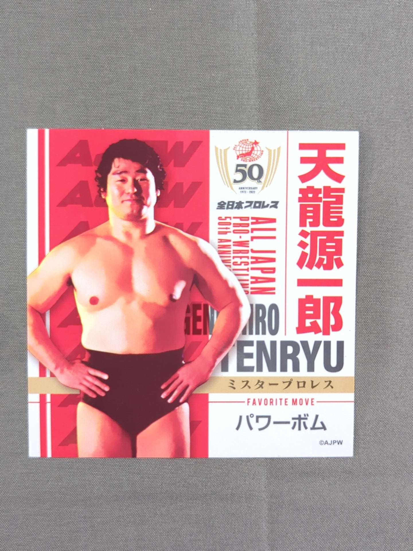 天龍源一郎 全日本プロレス50周年 クリアファイル＆ステッカーセット