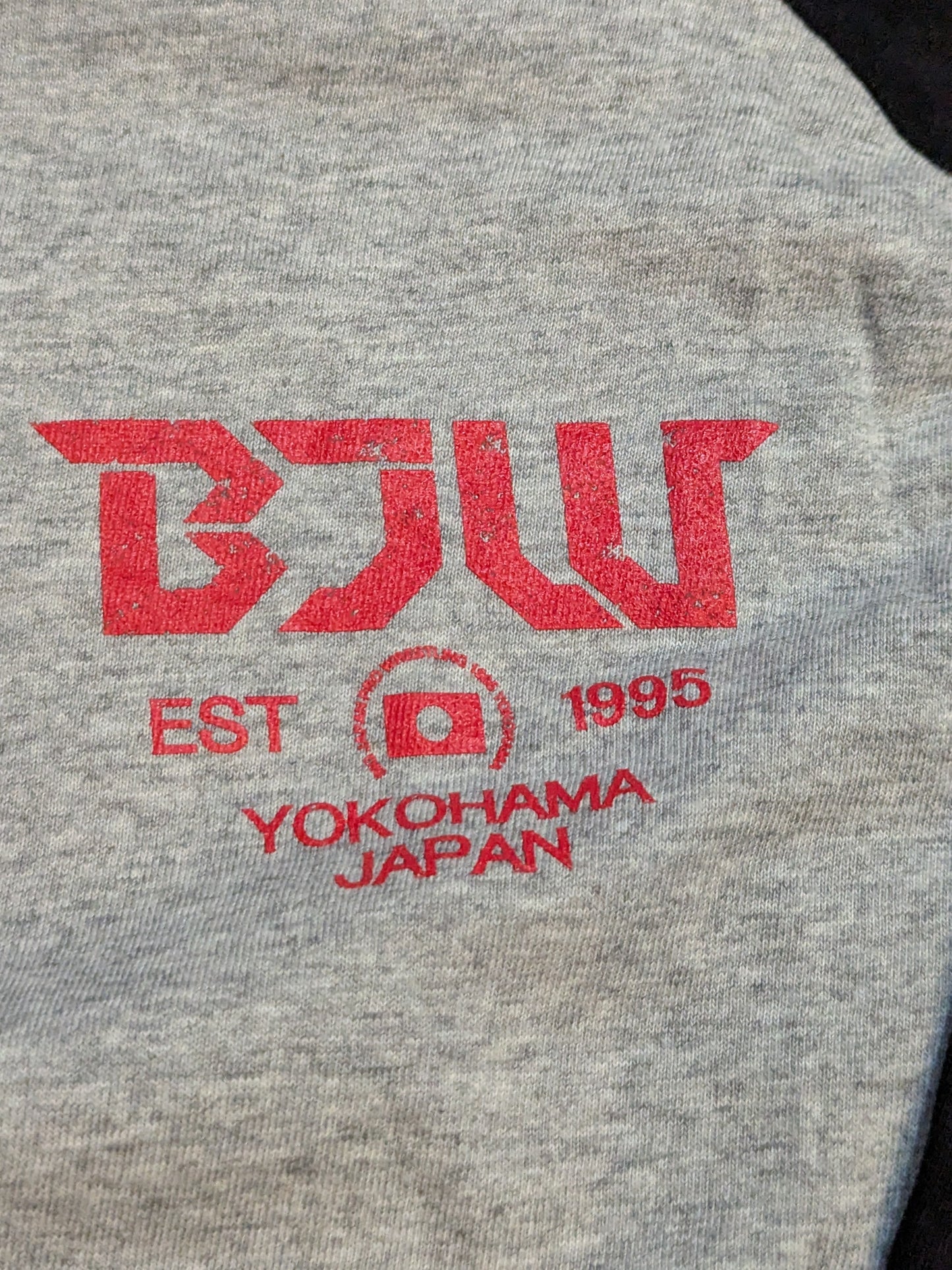 Big Japan Pro Wrestling  "BJW" Raglan T-shirt (Gray×Black)