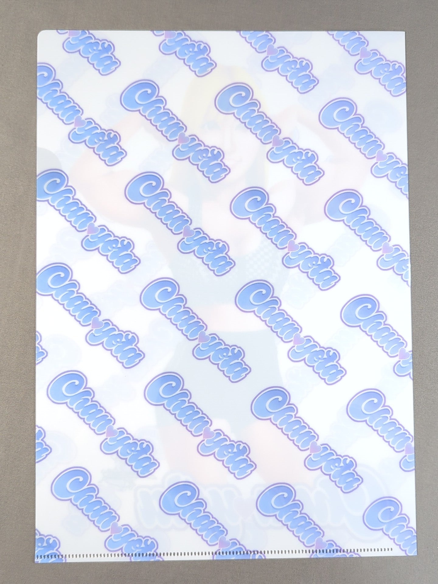 Collaboration illustration by ×Nagatoshi Sakai  Chanyota plastic file folder (3)