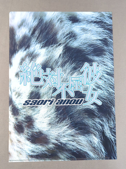 Saori Anou ×Nagatoshi Sakai  family Collaboration Illustration plastic file folder (1)