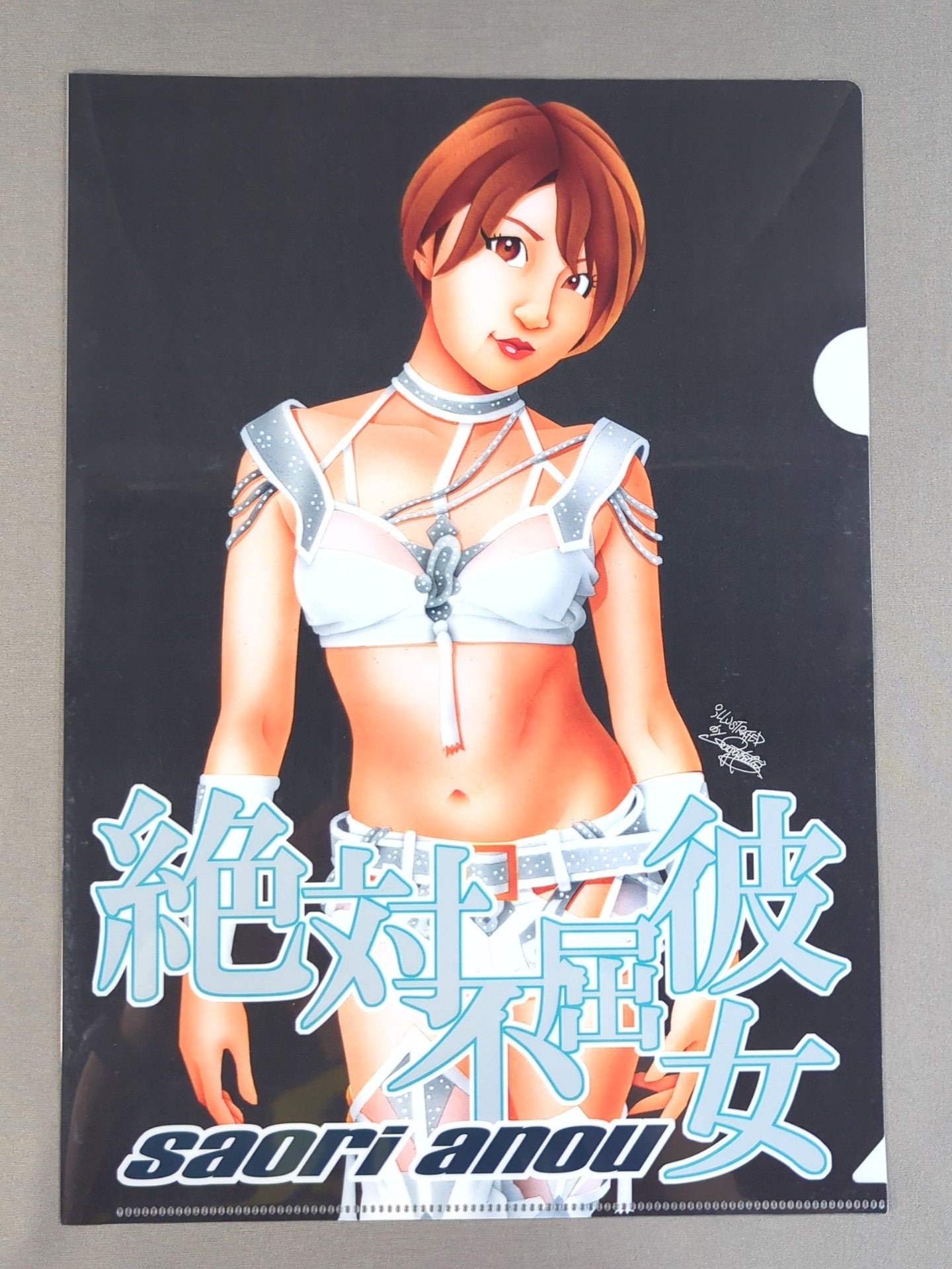 Saori Anou ×Nagatoshi Sakai  family Collaboration Illustration plastic file folder (2)