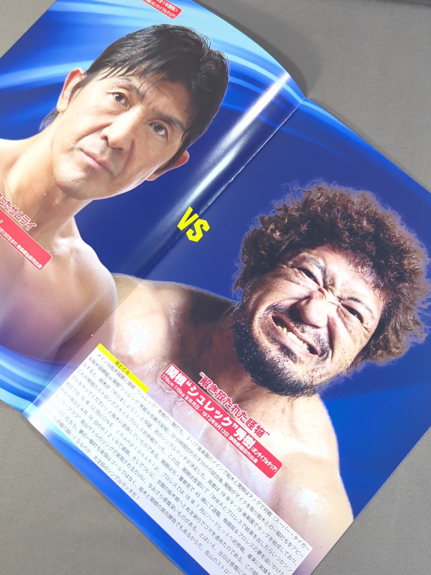 ストロングスタイルプロレス Vol.17