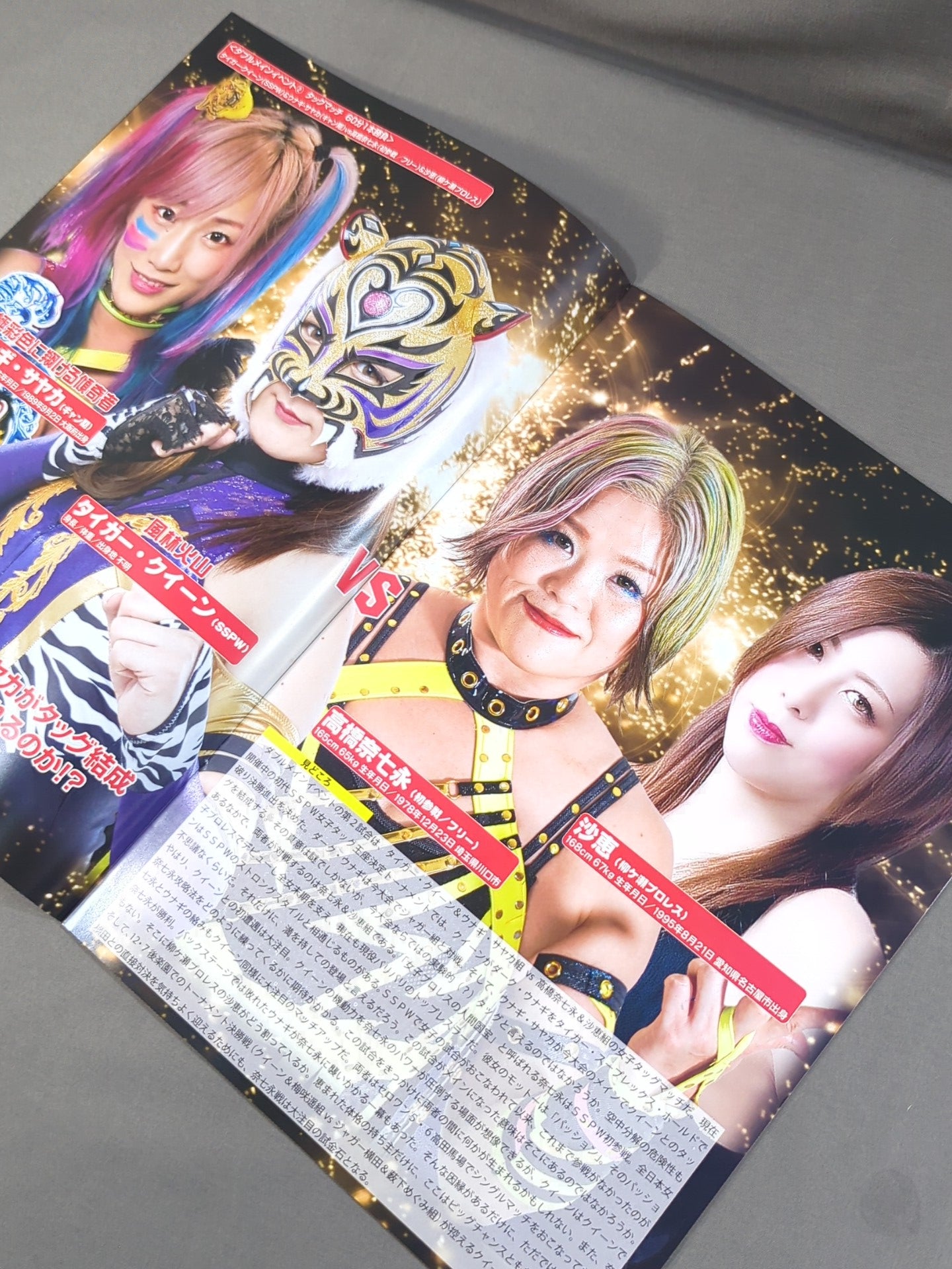 ストロングスタイルプロレス Vol.26 / THE ONE AND ONLY SAYAMA TIGER