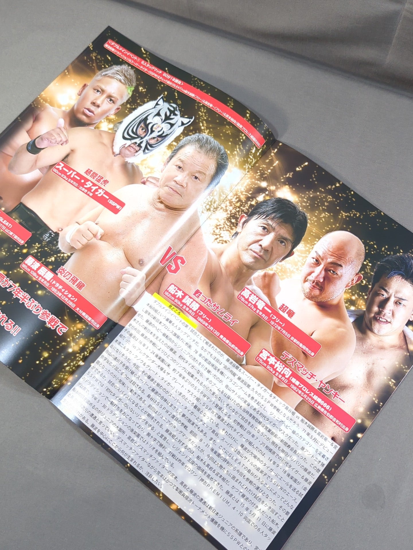 ストロングスタイルプロレス Vol.26 / THE ONE AND ONLY SAYAMA TIGER
