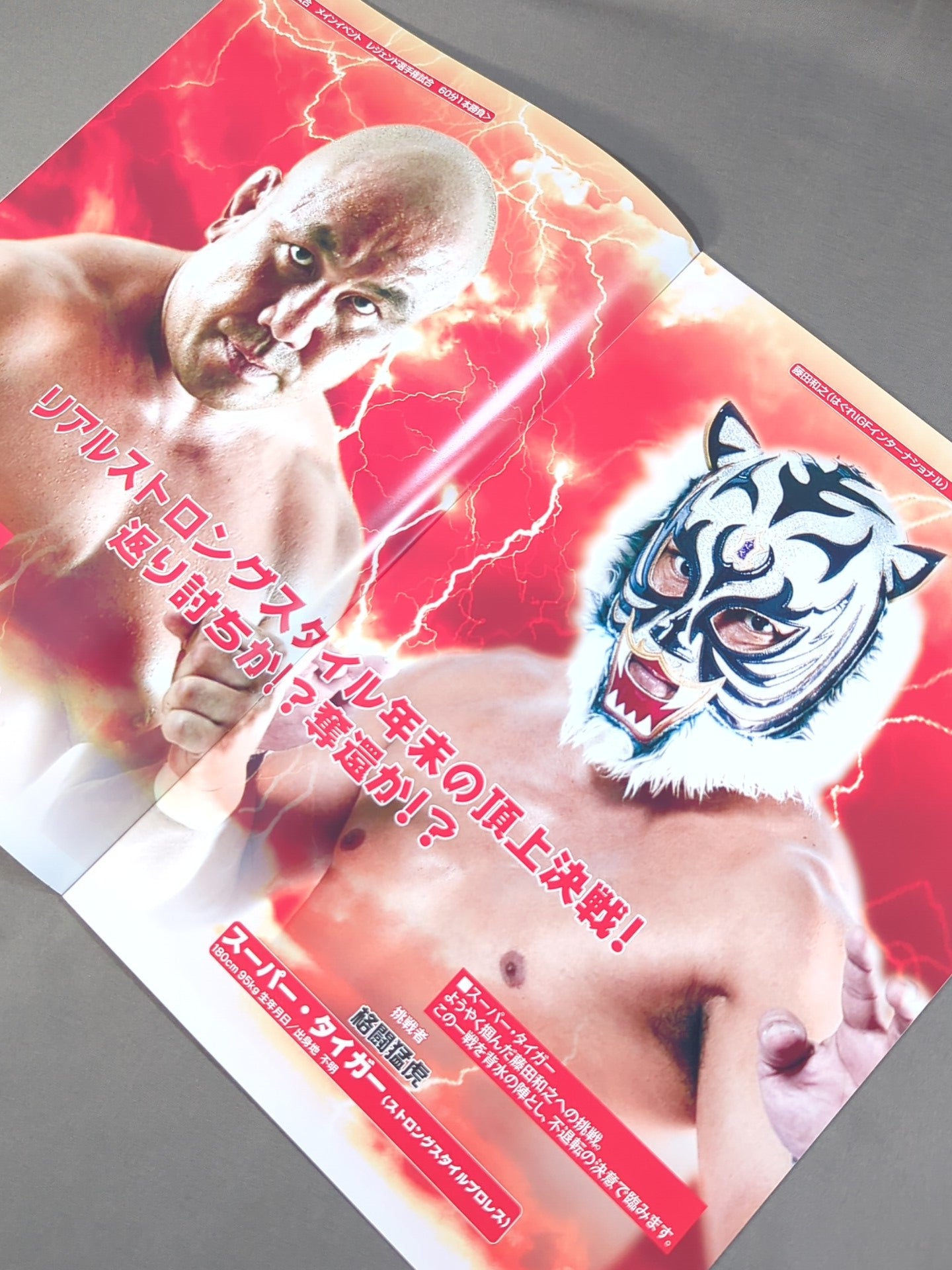ストロングスタイルプロレス Vol.8 – 闘道館