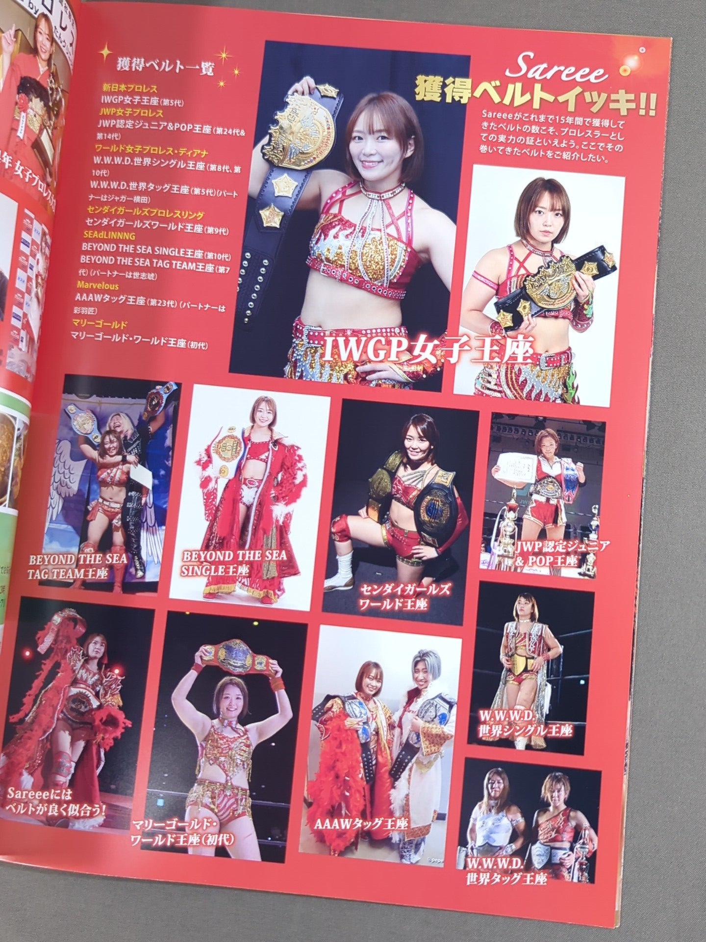 Sareee ISM Chapter X 太陽神Chronicle 15th ANNIVERSARY – 闘道館