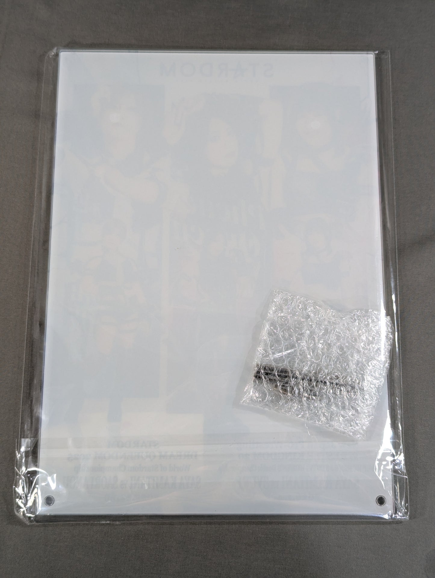 ★ Finish Prize ★: Saya Kamitani & Akari & Saori Anou  A4 Acrylic Panel