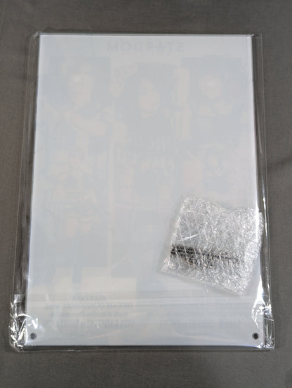 ★ Finish Prize ★: Saya Kamitani & Akari & Saori Anou  A4 Acrylic Panel