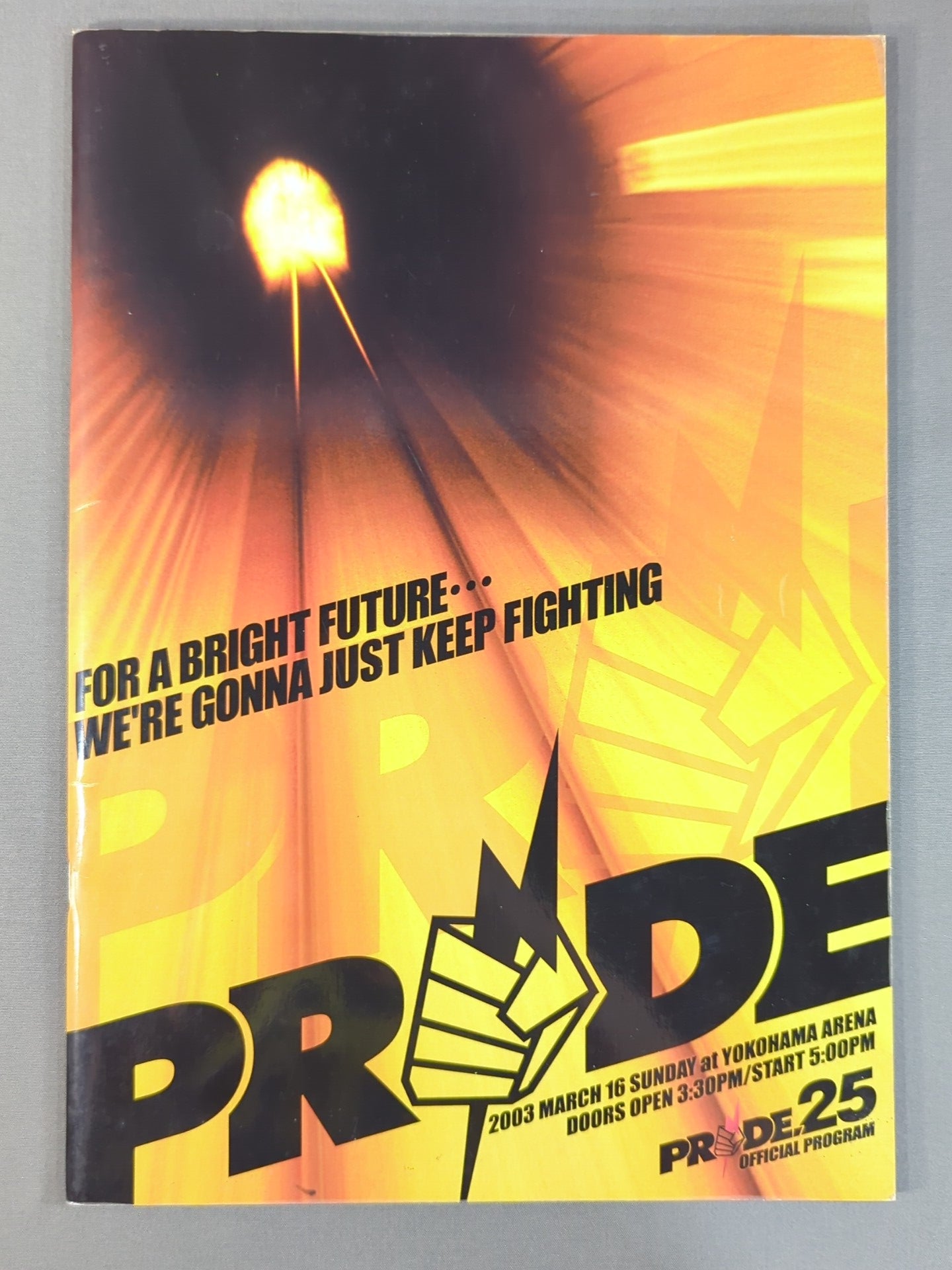 PRIDE.25