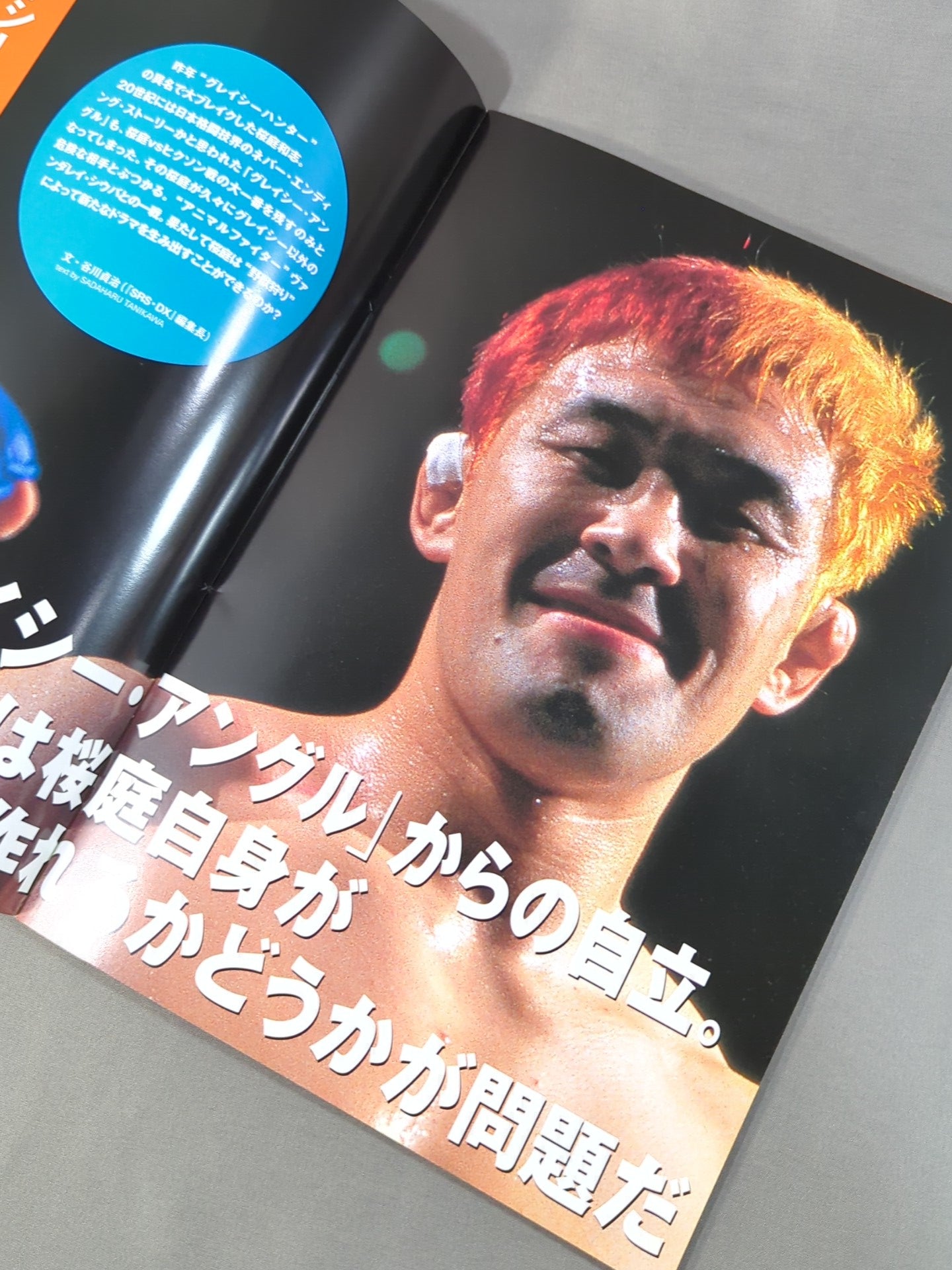 PRIDE.13 – 闘道館