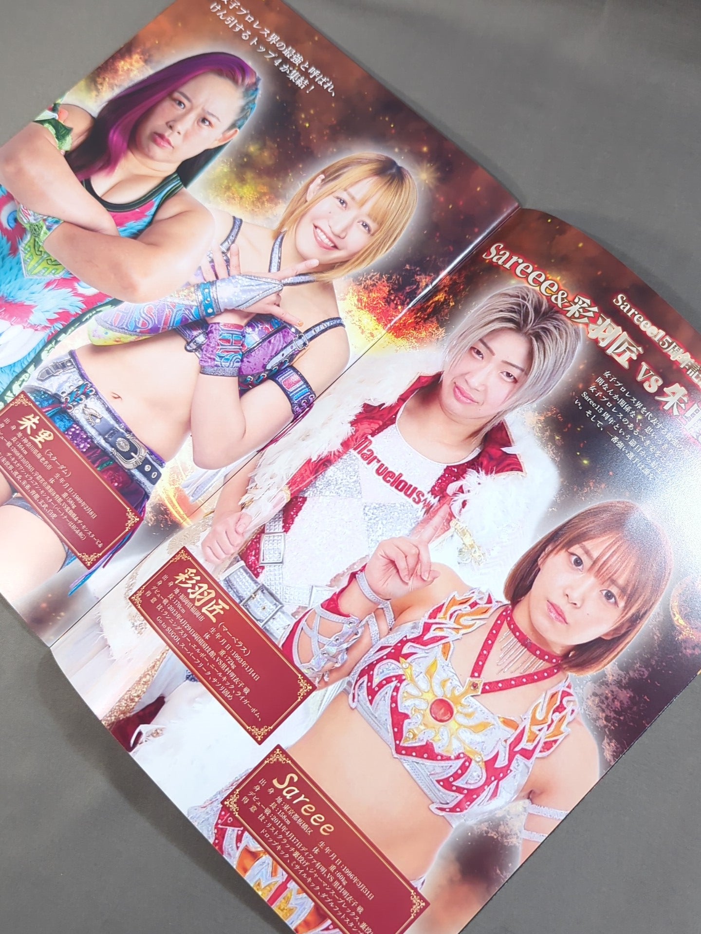 Sareee ISM Chapter X 太陽神Chronicle 15th ANNIVERSARY – 闘道館