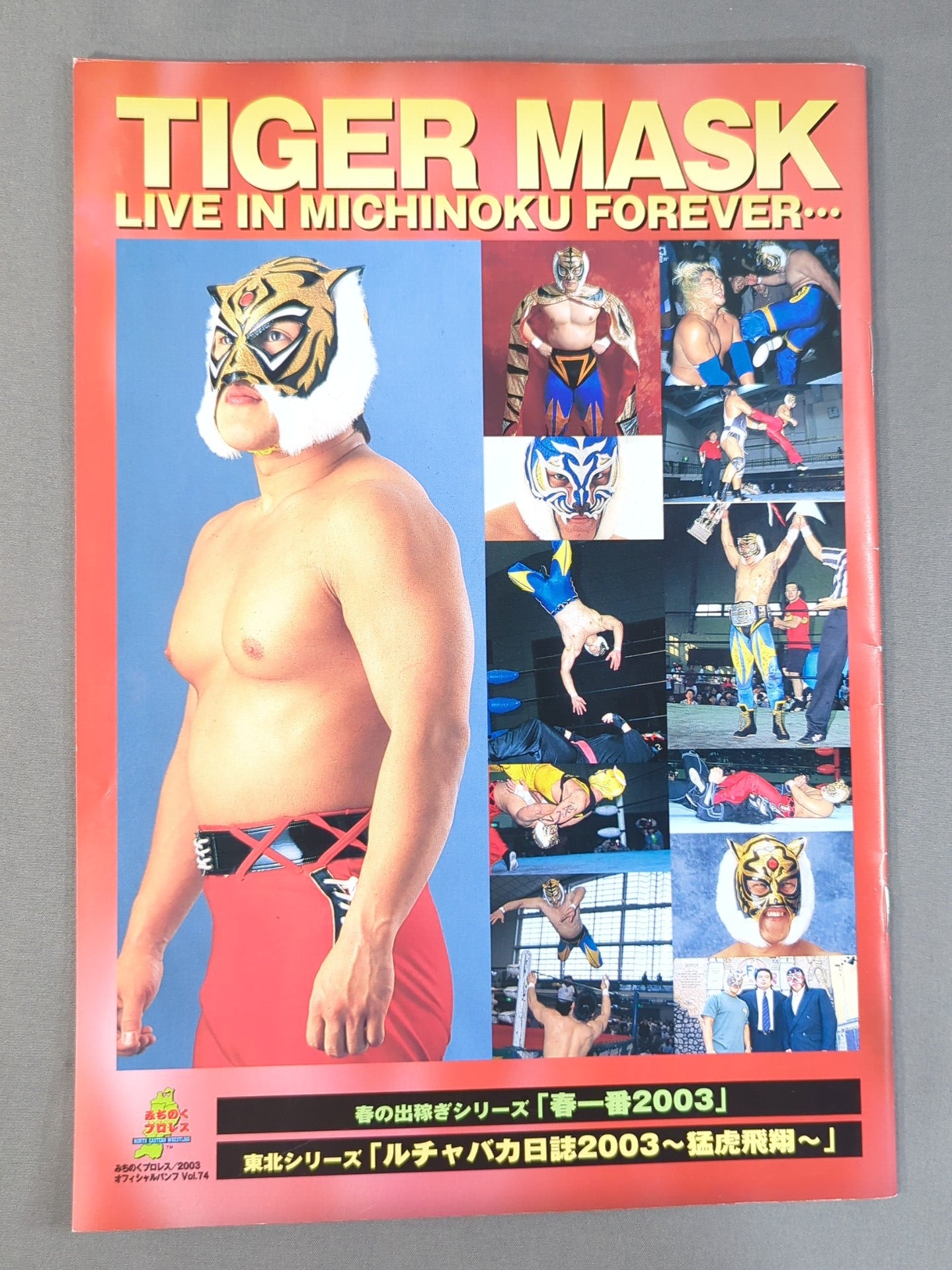 Michinoku Pro Wrestling  Official Pamphlet Vol.74
