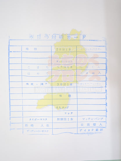 Michinoku Pro Wrestling  Official Pamphlet Vol.74