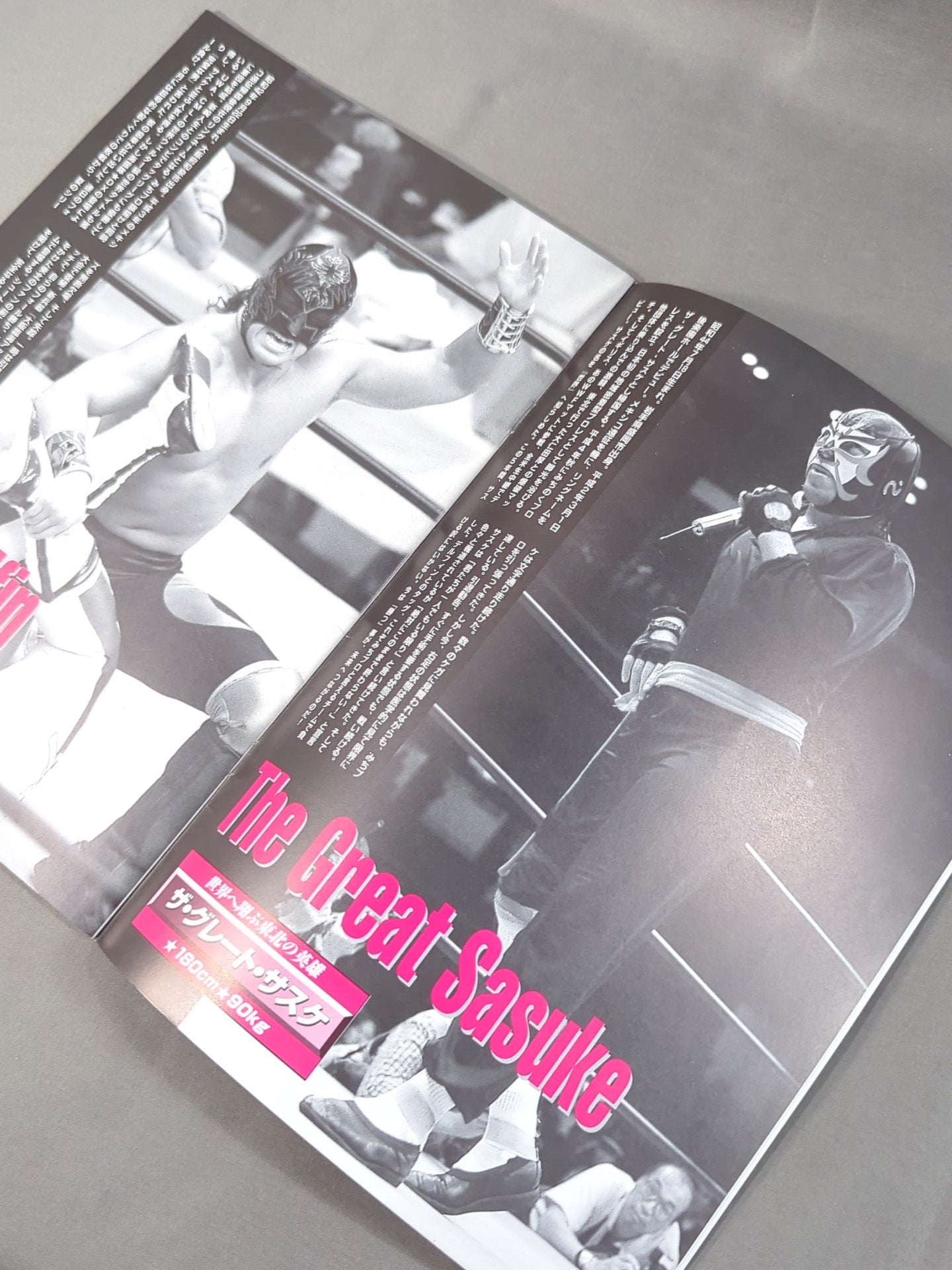 Michinoku Pro Wrestling Official Brochure Vol.35