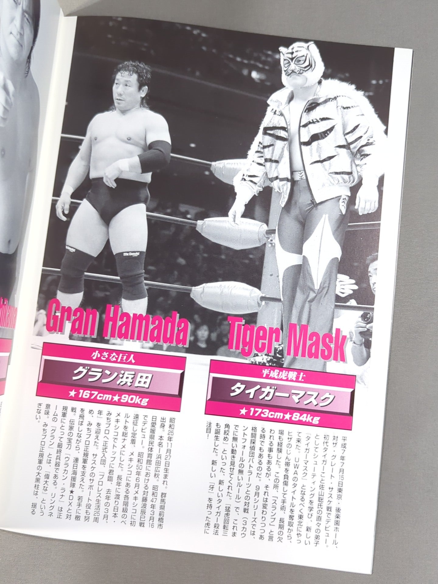 Michinoku Pro Wrestling Official Brochure Vol.35