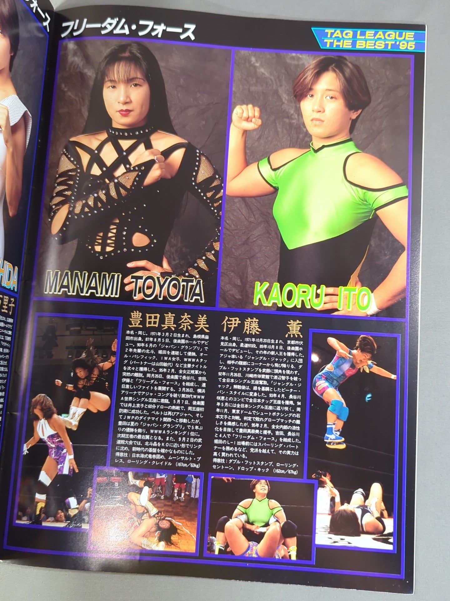 リングスターPROGRAM / TAG LEAGUE THE BEST’95 SPECIAL