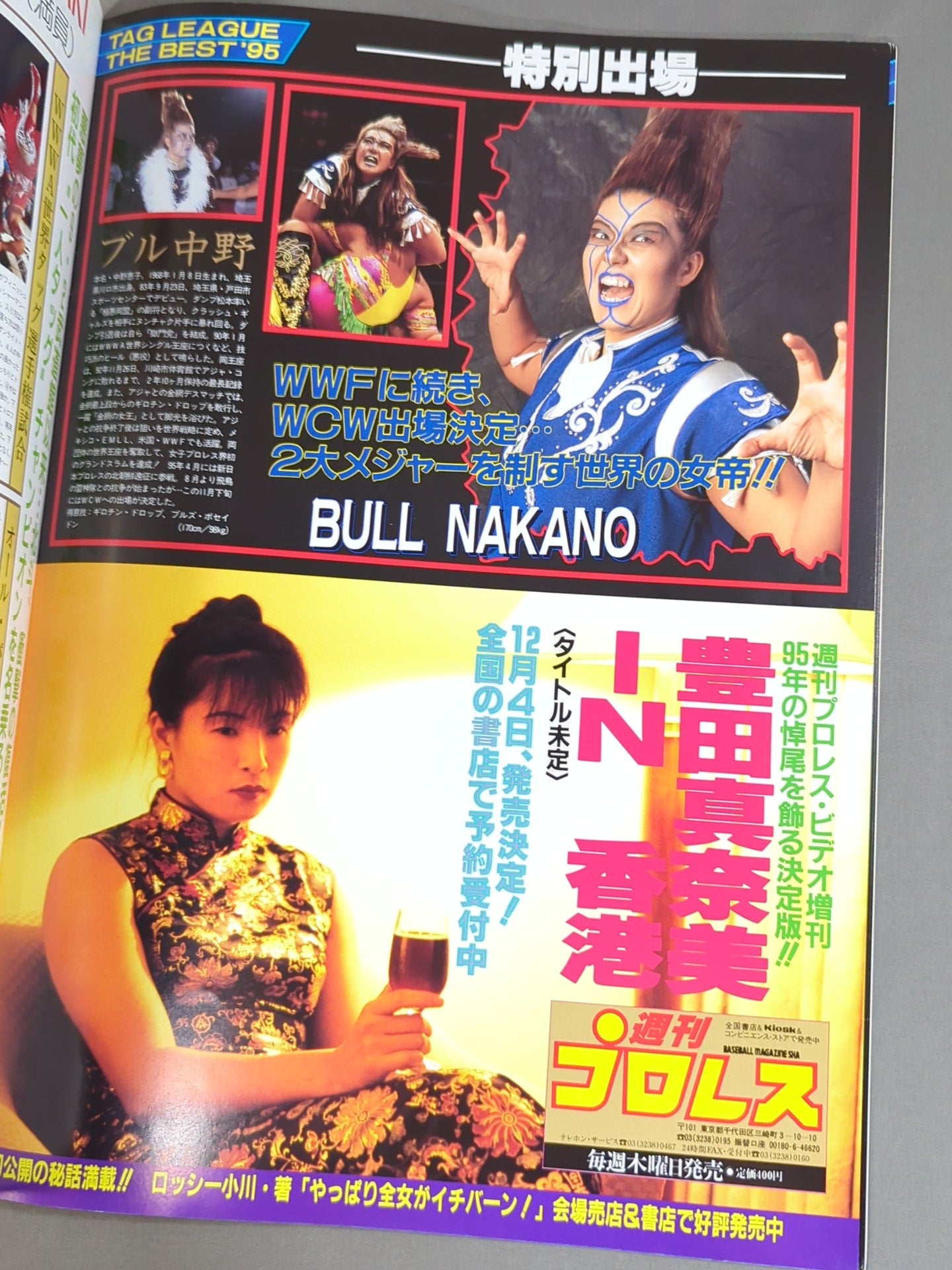 リングスターPROGRAM / TAG LEAGUE THE BEST’95 SPECIAL