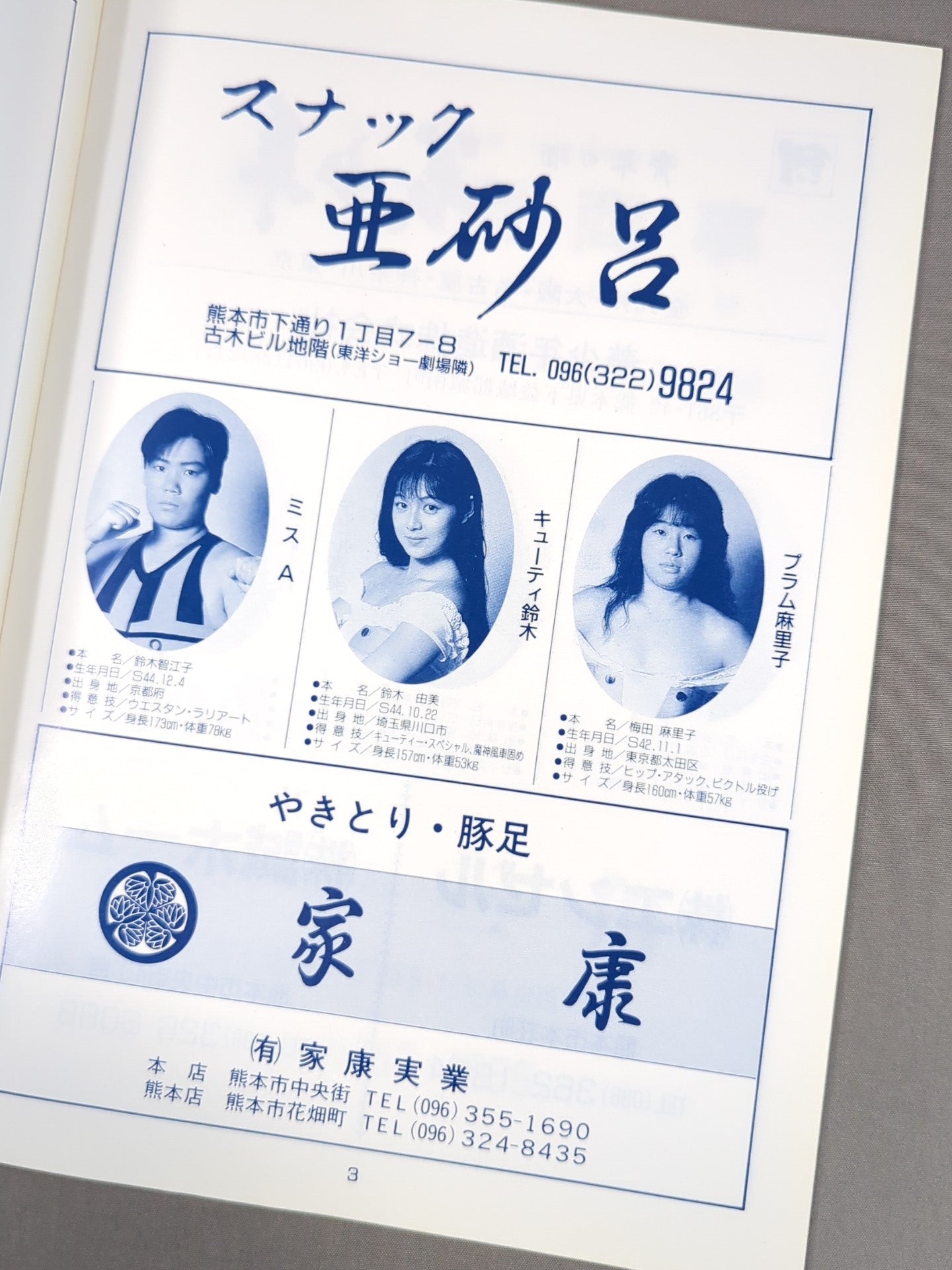 ジャパン女子プロレス / KABAKAチャリティー