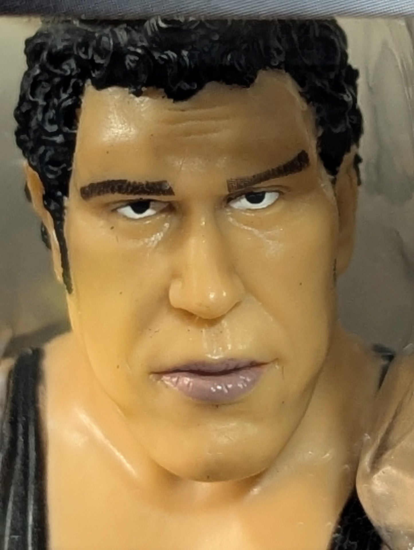 アンドレ・ザ・ジャイアント