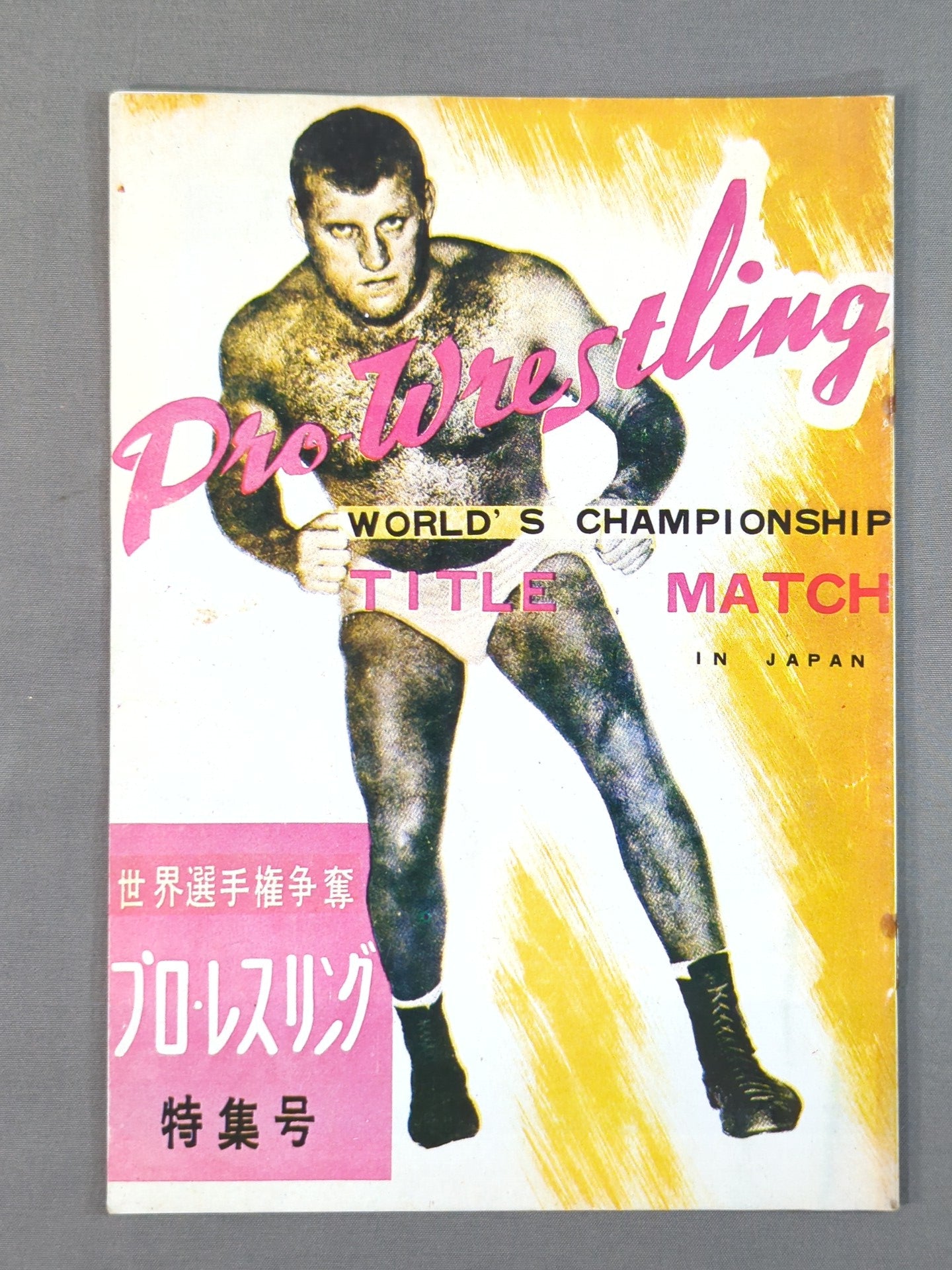 Pamphlet [Reprint Edition] (2) World Fighters Competition for Rights Professional Wrestling Special Issue