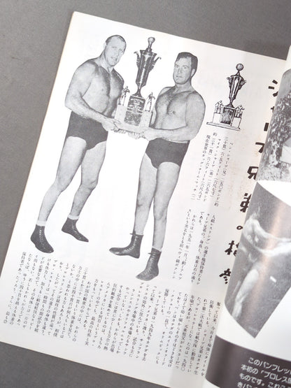 Pamphlet [Reprint Edition] (2) World Fighters Competition for Rights Professional Wrestling Special Issue
