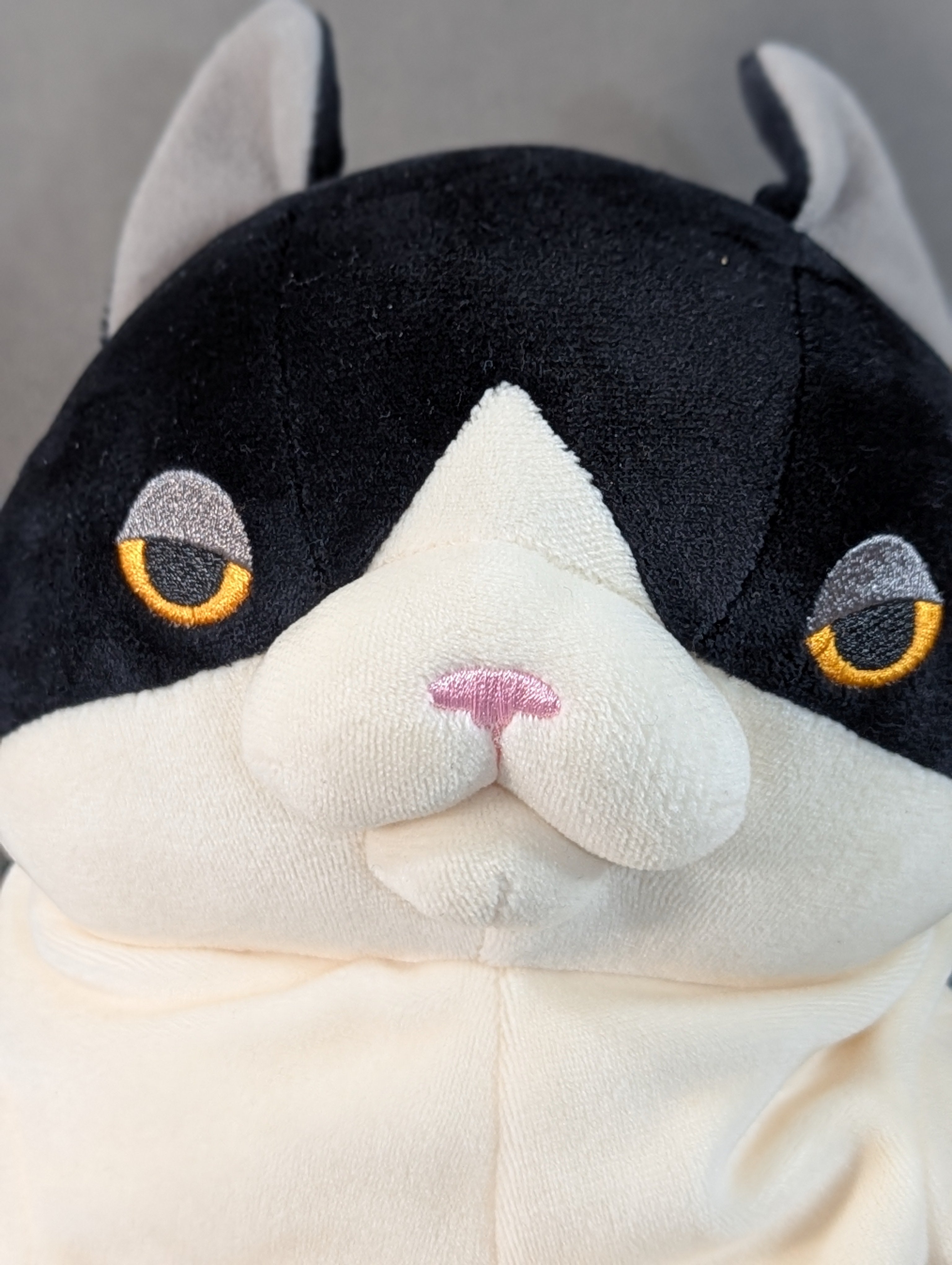 もちねこ ハチワレ (Lサイズ) – 闘道館