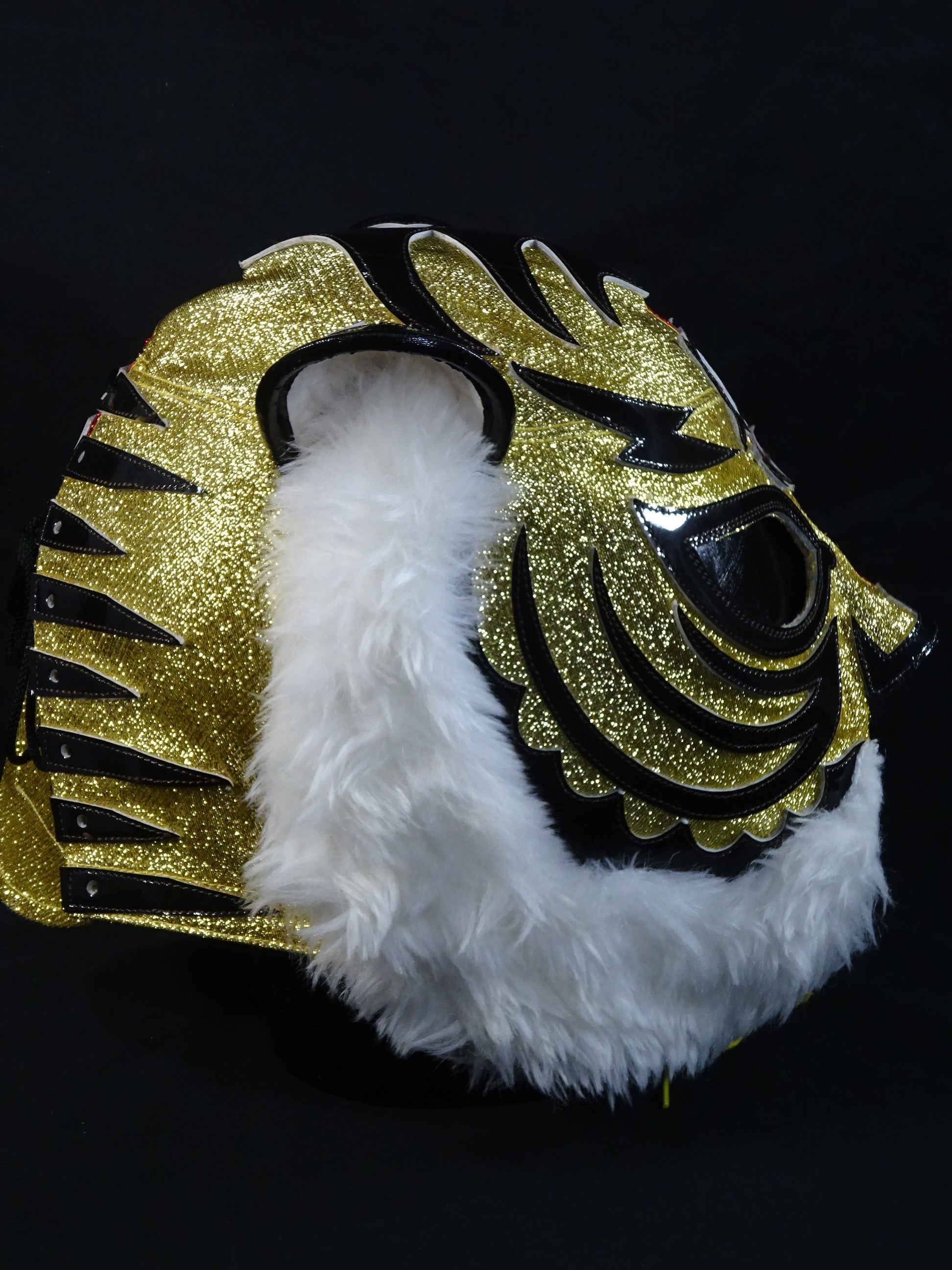 The first Tiger Mask – 闘道館
