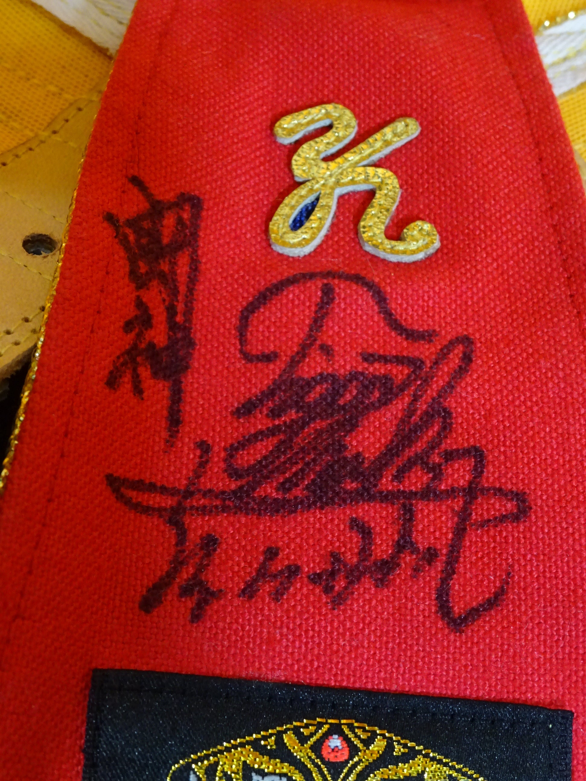 初代タイガーマスク – 闘道館